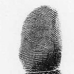 arch fingerprint