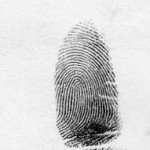 a loop fingerprint