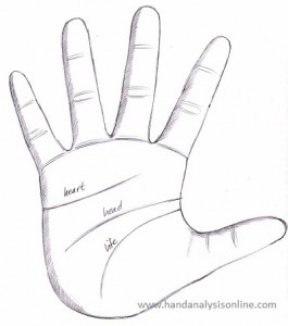 The 3 major lines Most people have 3 major lines in their hands