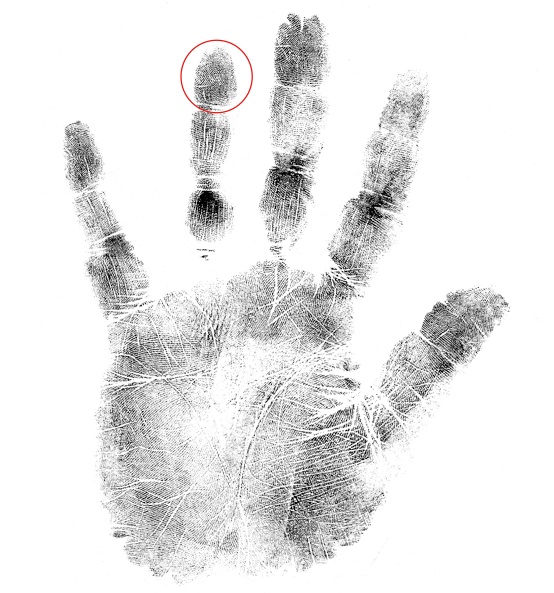 hand analysis online classes hand marker that indicates not showing up