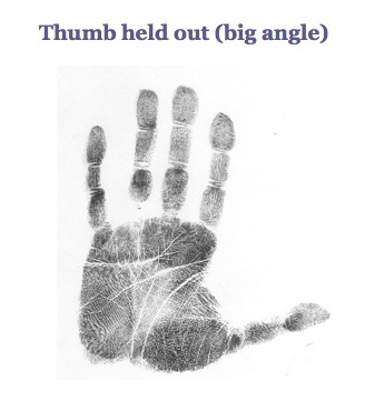 large thumb angle palm marker