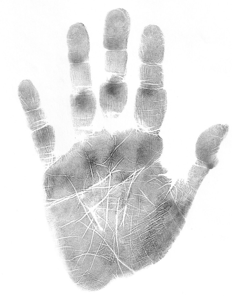 how to read a palm, palmistry