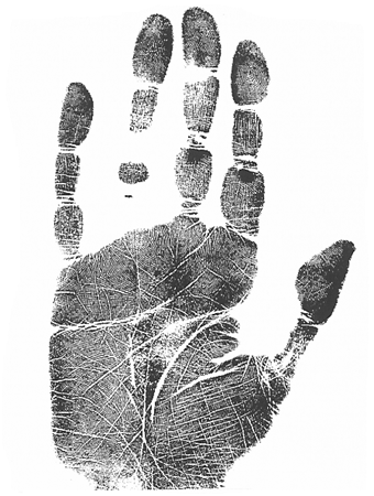 long narrow palm long fingers hand analysis classes