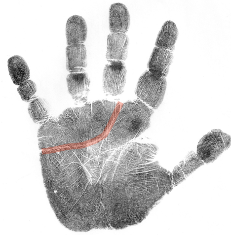 how to read a palm, professional  and hobby hand analysis classes online