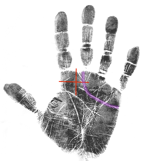 how to read a palm, palmistry classes, life purpose hand analysis