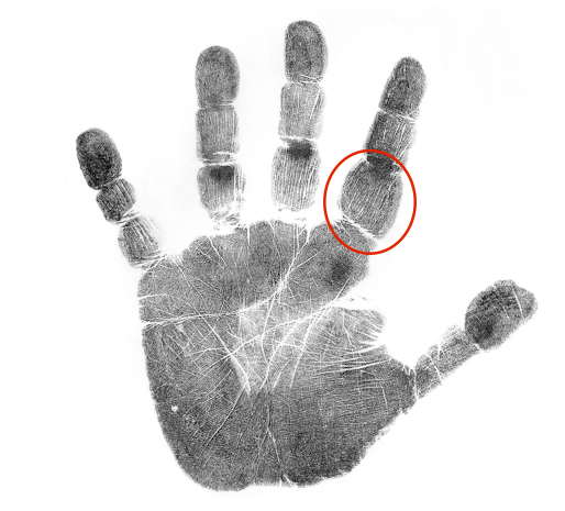 hand analysis classes online, how to read a palm