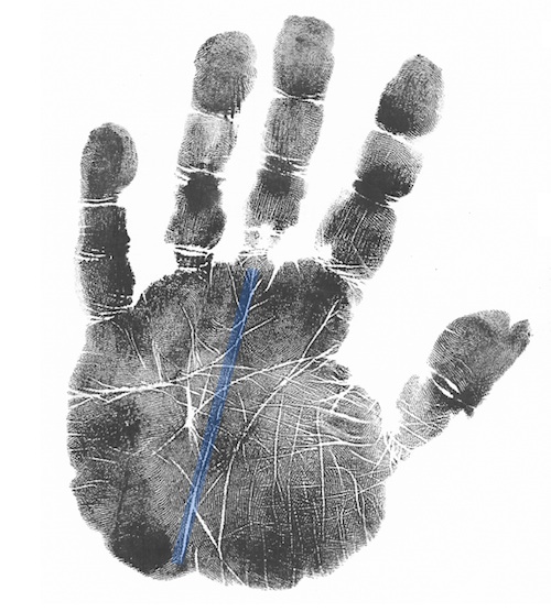 scientific hand analysis course or classes, palmistry classes online