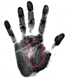 short lifeline palm marker means you're a hard worker