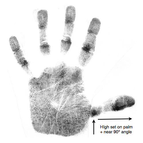 how to read a palm, control freak, palmistry, palm reading, scientific hand analysis classes on line