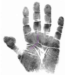 heart & spiritual journey markers 4, hand analysis classes, quantum palm